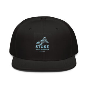 Aqua Division Snapback