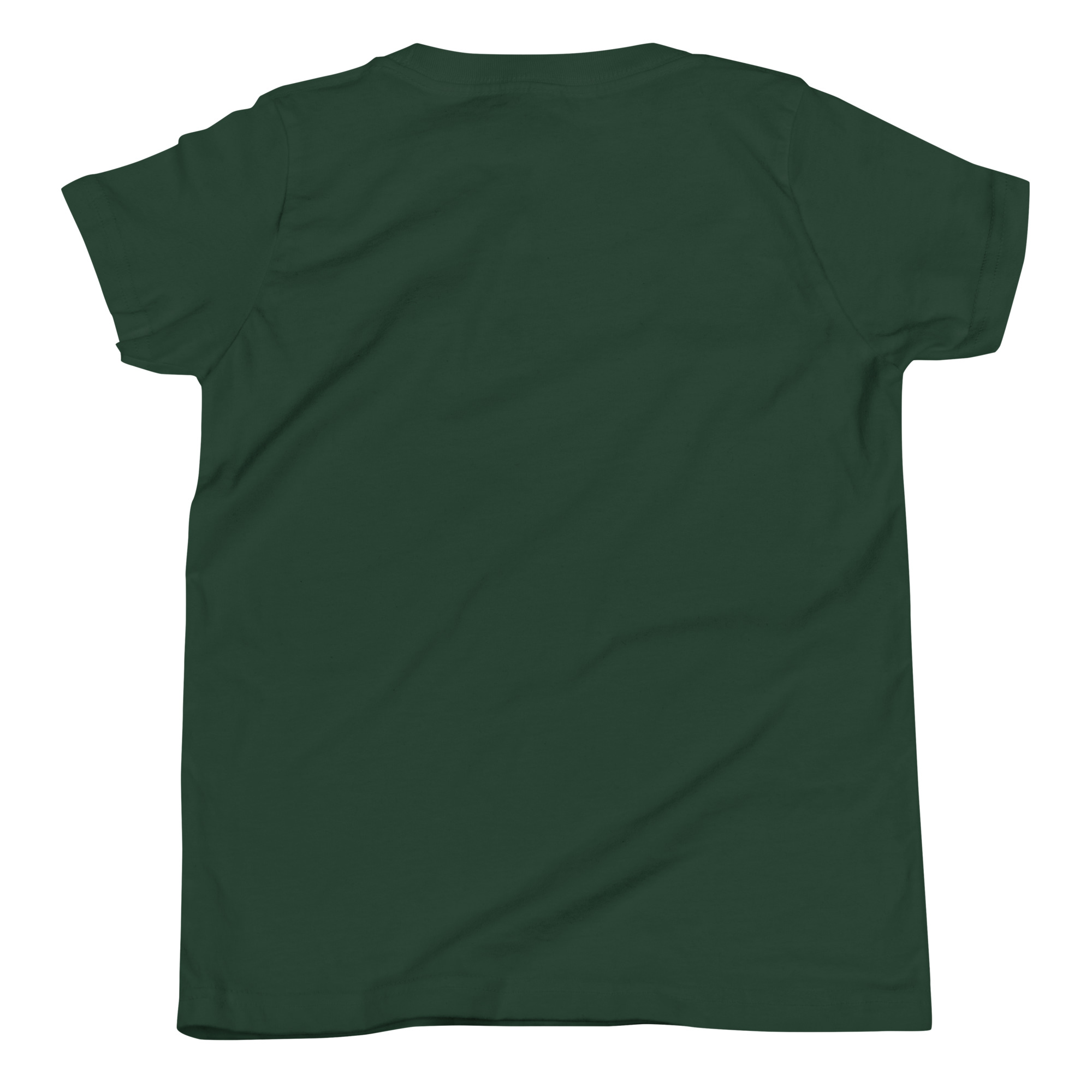 Send-O-Saurus Youth Tee - Image 2